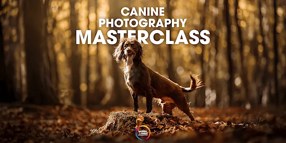 Canine Photography Masterclass with Abbie Kyte