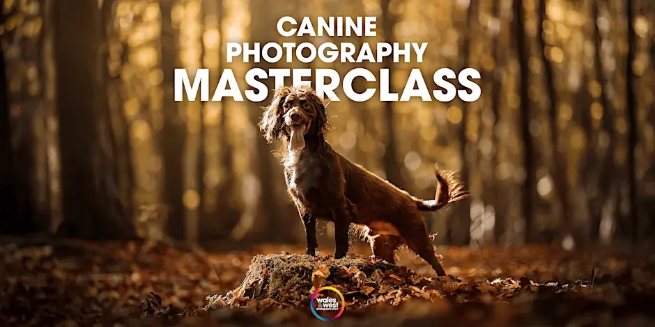 Canine Photography Masterclass with Abbie Kyte