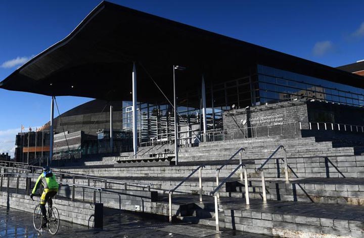 Haf yn y Senedd | Summer at the Senedd