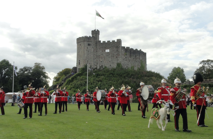 The Royal Welsh 20th Anniversary | Party in the Park