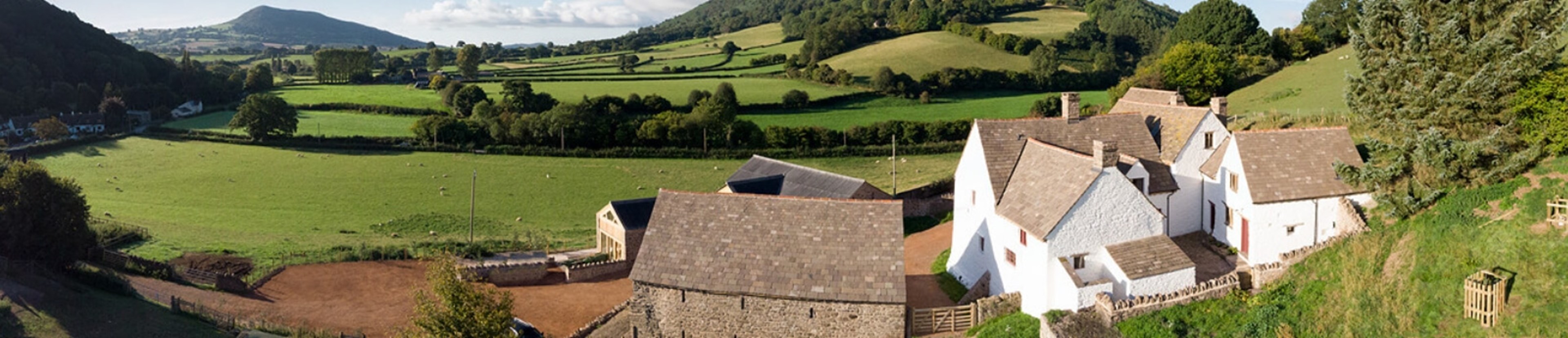 Llwyn Celyn