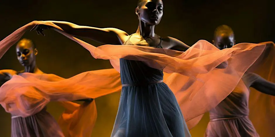 Understanding the Anatomy of Movement