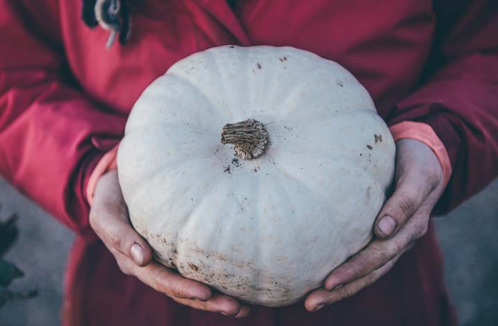 A Taste of Resilience